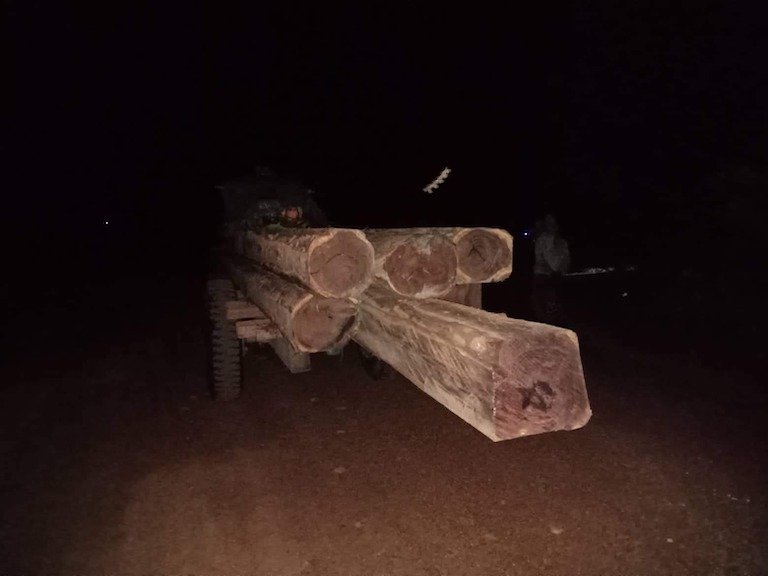 Timber transported on a ko-yun at night into the Think Biotech concession in early May. Image from an anonymous source.