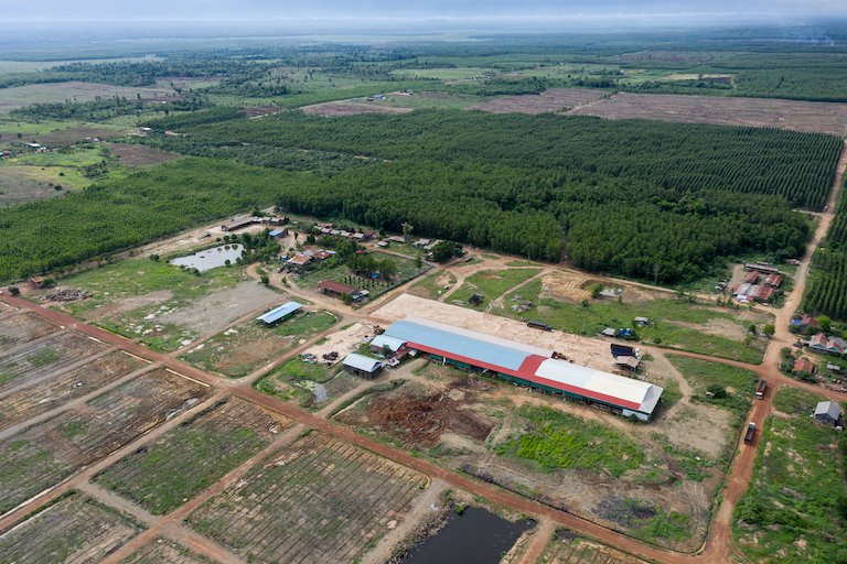 A depot within Think Biotech’s economic land concession previously known to store large volumes of timber. Image by Andy Ball.