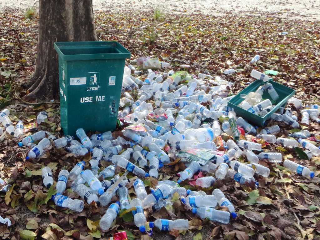 Litter on the Jamtola Tourist Trail. 