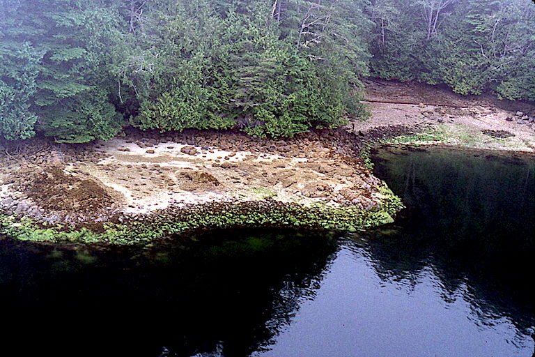 Ancient clam garden. Image courtesy of John Harper/Clam Garden Network.