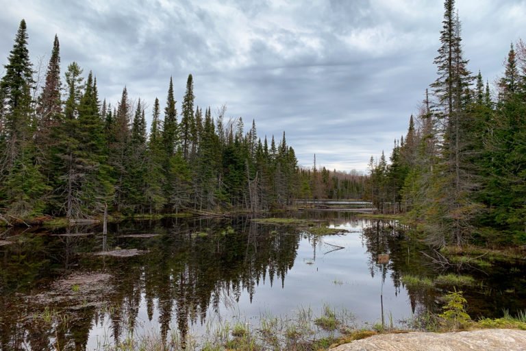 Beaver Pond in northern Ontario's wetlands. Image courtesy of Mustang Joe via Flickr.