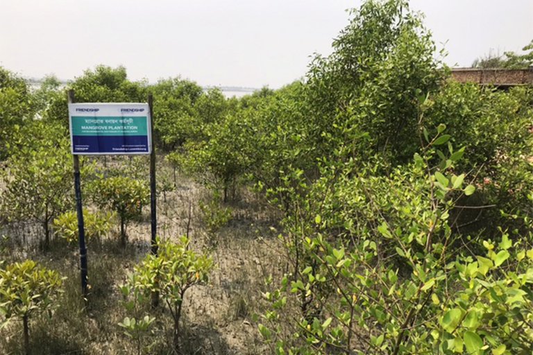 As a protection measure, the Bangladeshi government and several NGOs, with the communities’ participation, have initiated large-scale planting of mangrove trees