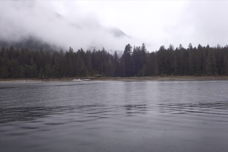 Mamalilikulla First Nation territory on British Columbia’s Central Coast, some 350 kilometers (220 miles) north of Vancouver. Image courtesy of Erica Gies.
