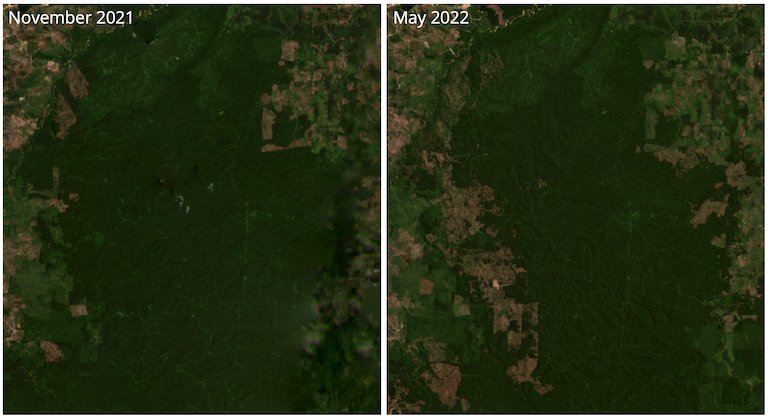 Satellite imagery shows large tracts of Tesso Nilo's remaining core area of primary forest have been cleared in 2022. Source: 2021/2022 Planet Labs Inc. Accessed through Global Forest Watch on June 8, 2022. www.globalforestwatch.org
