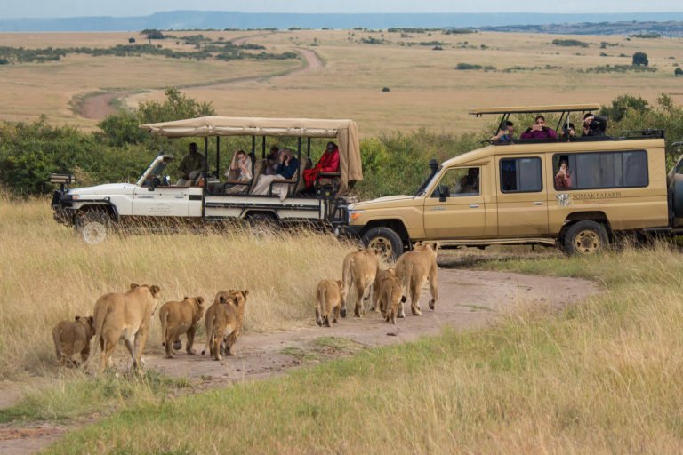 Maasai Mara National Reserve (also known as Maasai Mara, Masai Mara and by the locals as The Mara) is a large game reserve in Narok County, Kenya, contiguous with the Serengeti National Park in Mara Region, Tanzania. Image courtesy of Ray in Manila via Flickr (CC BY 2.0).