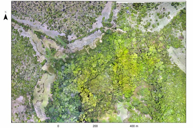 A photo mosaic from drone footage at the Salvatierra site. Source: H. Prümers / DAI.