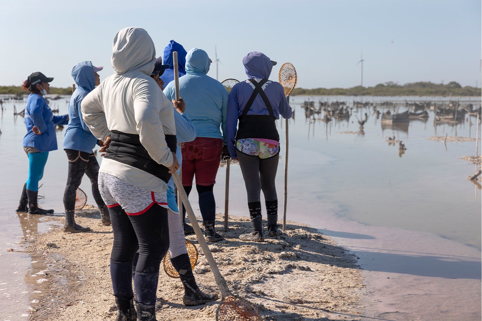 Several Chelemeras look out on the nursery before submerging themselves in the lagoon. 