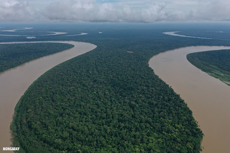 Aerial view of the Javari River in Brazil's norther Amazonas state. Image by Rhett A. Butler/Mongabay.