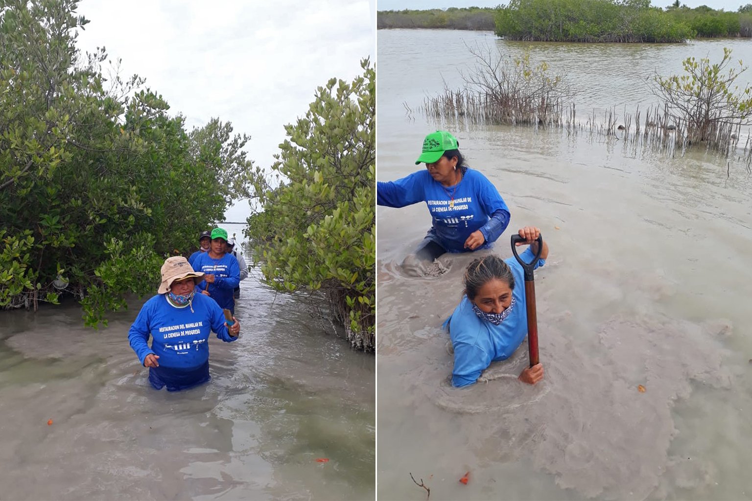 By helping the lagoon to recover its natural topography, Las Chelemeras have contributed to the reforestation of approximately 50 hectares (124 acres) of mangrove across two sites.