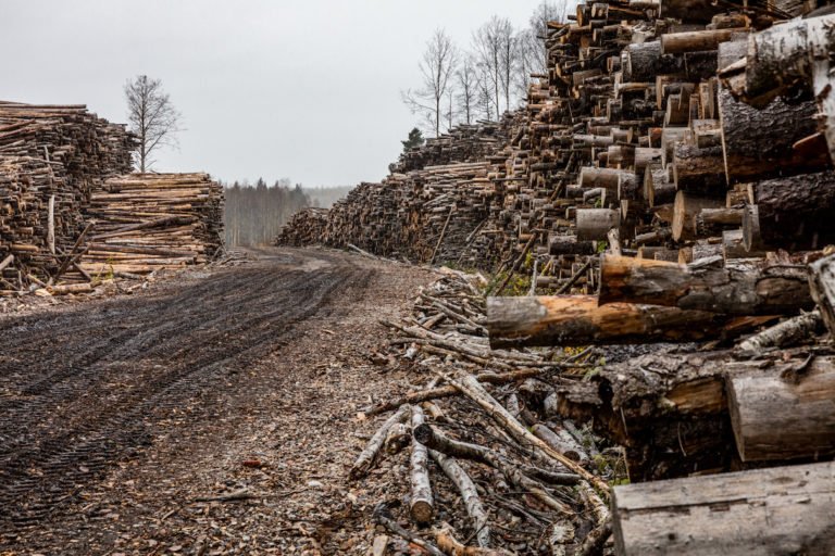 Logging operation in Sweden. Image courtesy of Marcus Westberg.