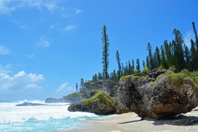 Turtle Bay, Island of Pines (Île de pins), New Caledonia. Image courtesy of Jeremy Bezanger on Unsplash.