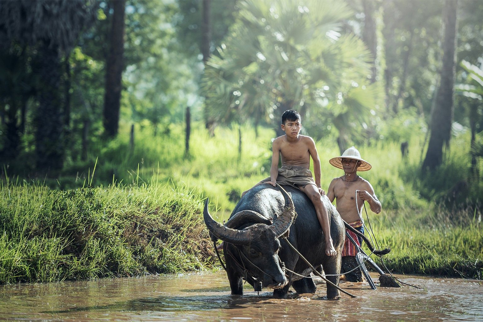 Young farmers in Indonesia