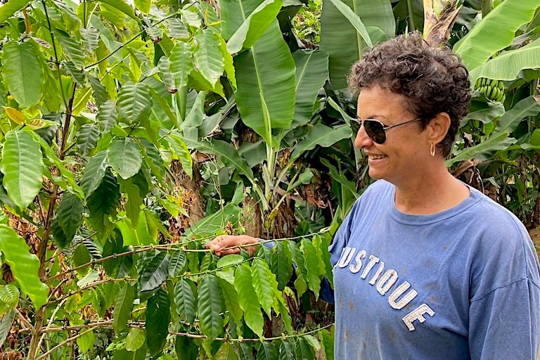 Yvette Pereira, owner of a sustainable farm and ecolodge in St. Vincent known as Amazona Nest, with a coffee plant growing on the property. Image by Peter Kleinhenz for Mongabay. 