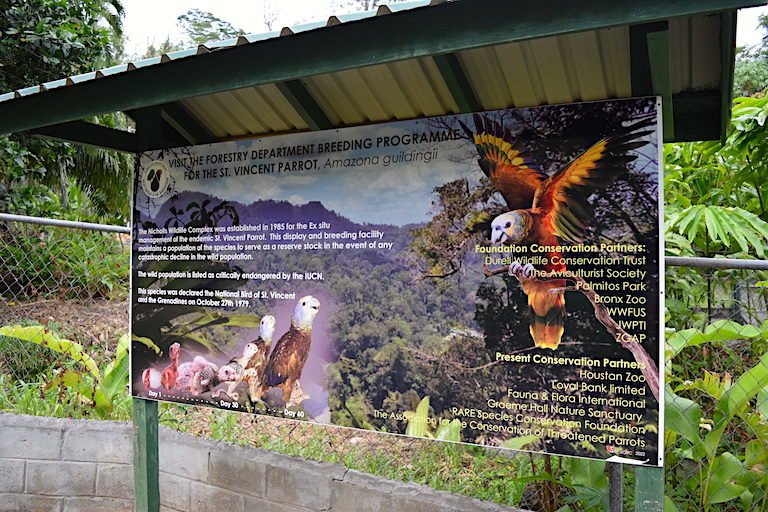 An interpretive sign at the Nicholls Wildlife Complex on St. Vincent describes the captive breeding program that takes place on site. Image by Peter Kleinhenz for Mongabay.