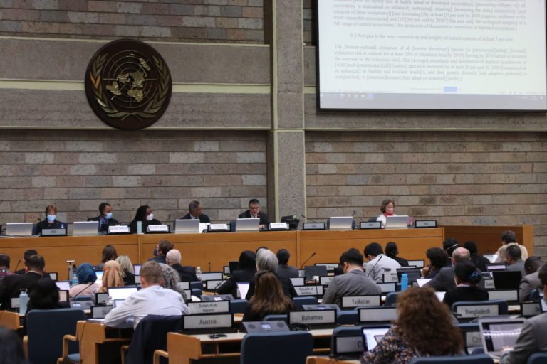 Contact groups held 22 June 2022 during the fourth meeting of the Open-ended Working Group on the Post-2020 Global Biodiversity Framework in Nairobi, Kenya. Image courtesy of the Convention on Biological Diversity via Flickr (CC BY 2.0).