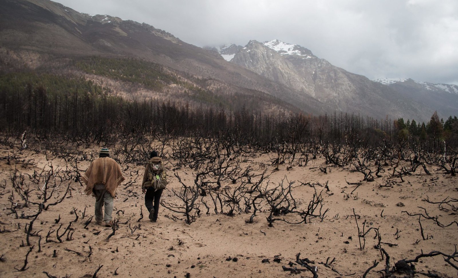 Hiking through burned area to reach Lof Quemquemtrew. Image courtesy of Denali DeGraf.