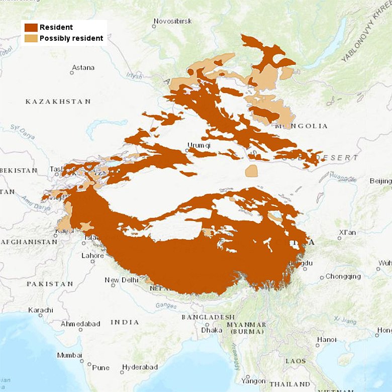 Distribution of the snow leopard as of 2017.