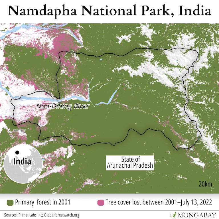 Satellite data show deforestation in Namdapha National Park has been concentrated in its western portion over the past two decades. However, tree cover loss has also been spreading into the eastern portion via the Noa-Dihing River, as well as from the southwest. 