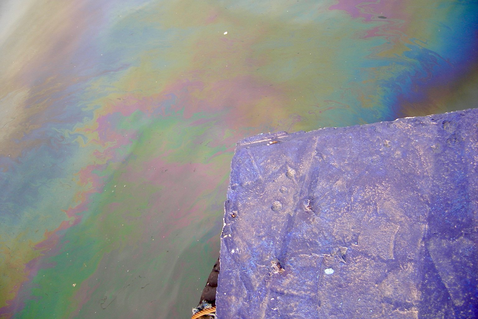 Stagnant water in the Golden Horn.