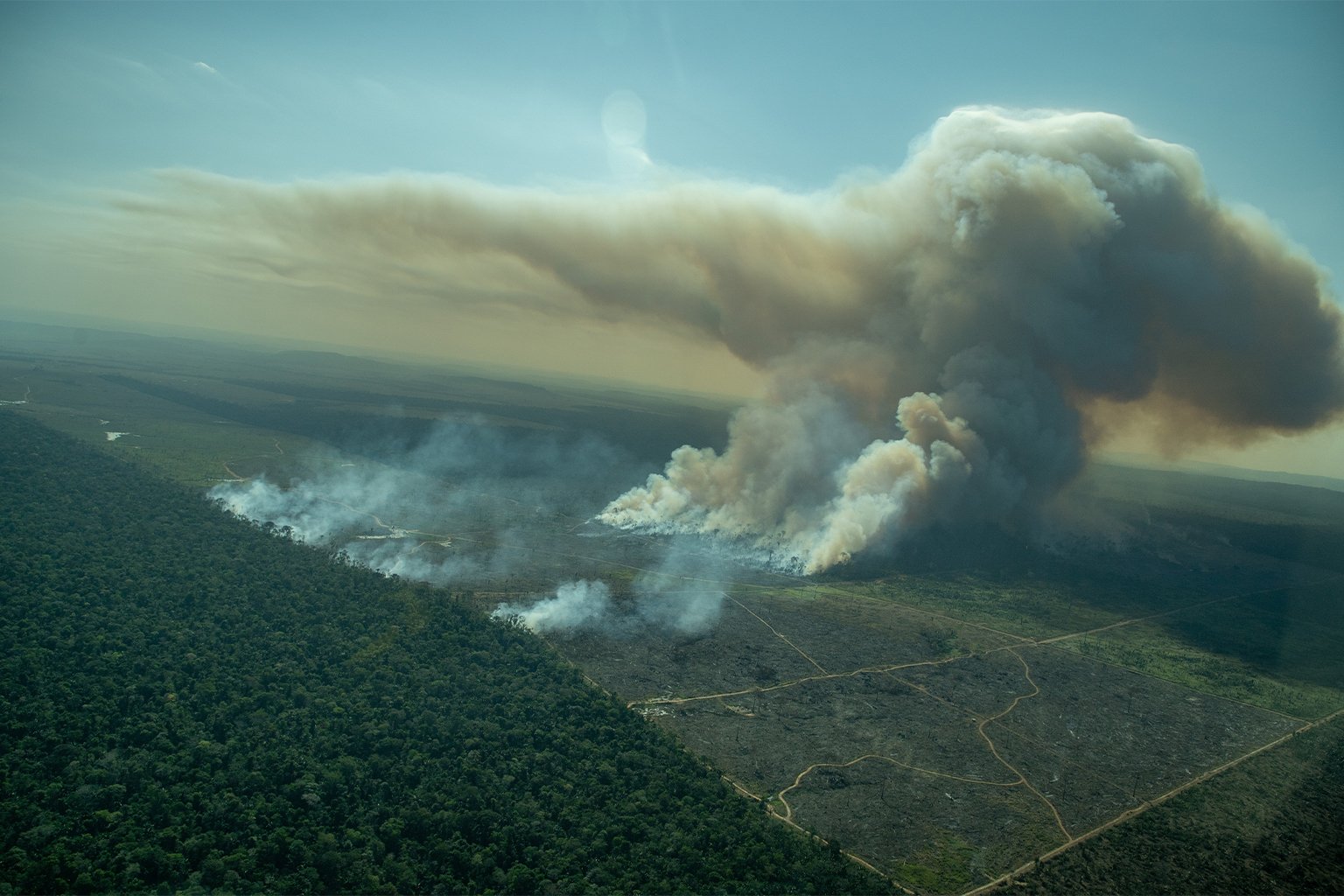 A vast swath of thick smoke blooms from a forest fire.