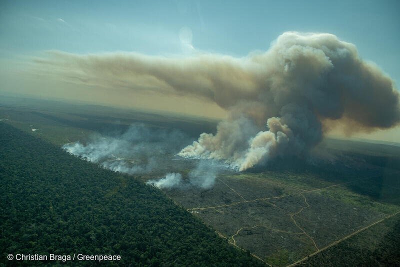 Forest fire in a deforested area.