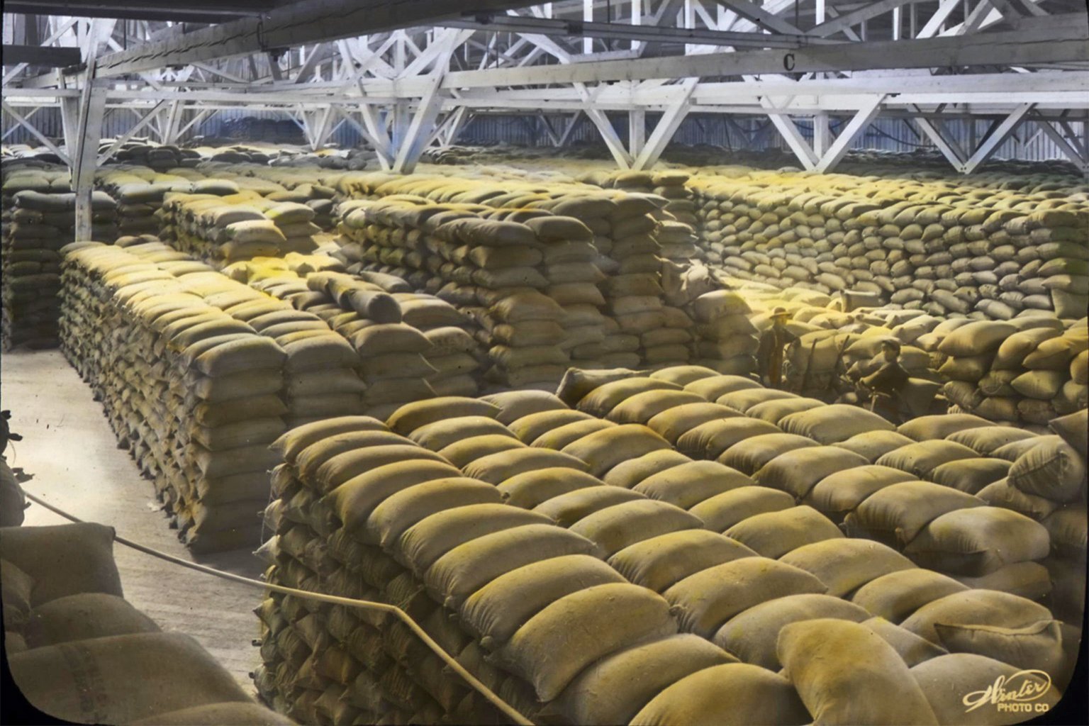 Wheat sacks in a warehouse