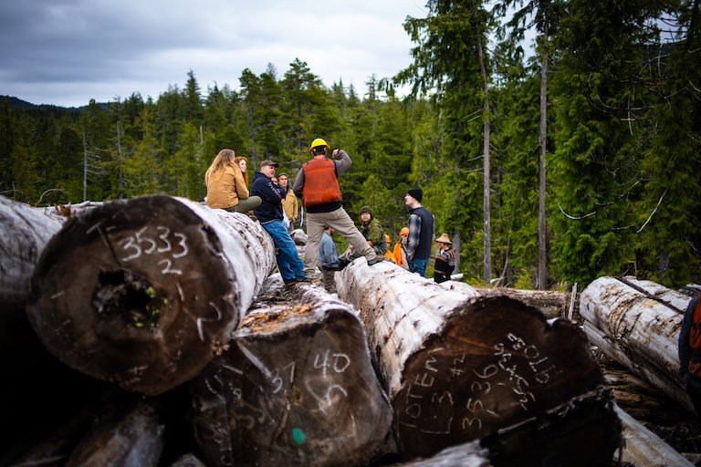 Monument tree. Image by Bethany Goodrich / Sustainable Southeast Partnership.