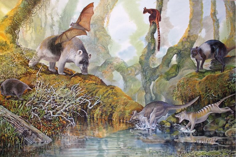 Artist's impression of Nombe Rockshelter megafauna