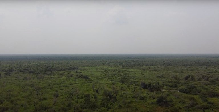 Grasslands are also a natural part of the landscape around Tonle Sap - and are highly prone to fire and agricultural conversion. Image by Danielle Keeton-Olsen for Mongabay.