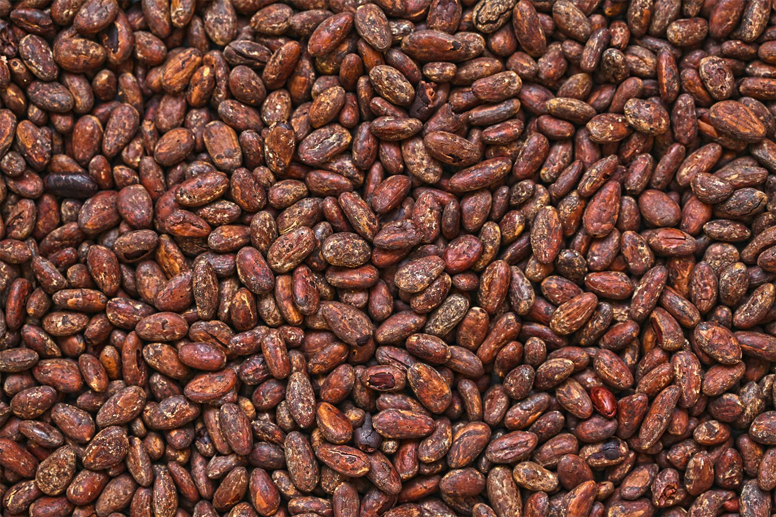 Cocoa beans