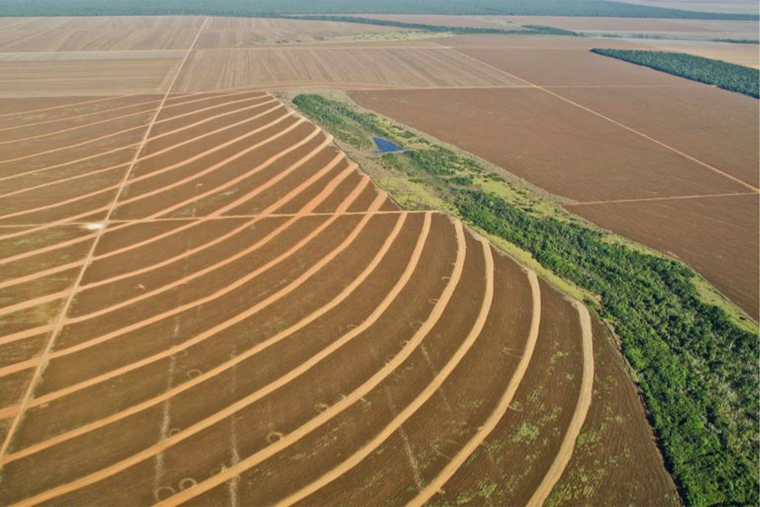 Land cleared for soy in Mato Grosso, Brazil.