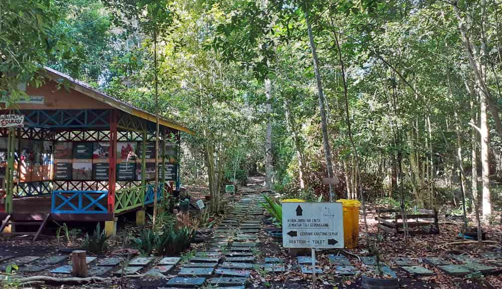 Inside the Marsawa Peat Arboretum. 