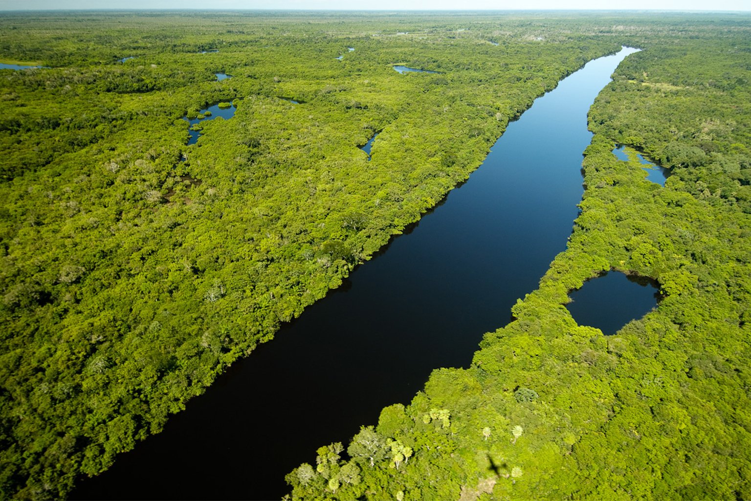 A river in Pantanal.