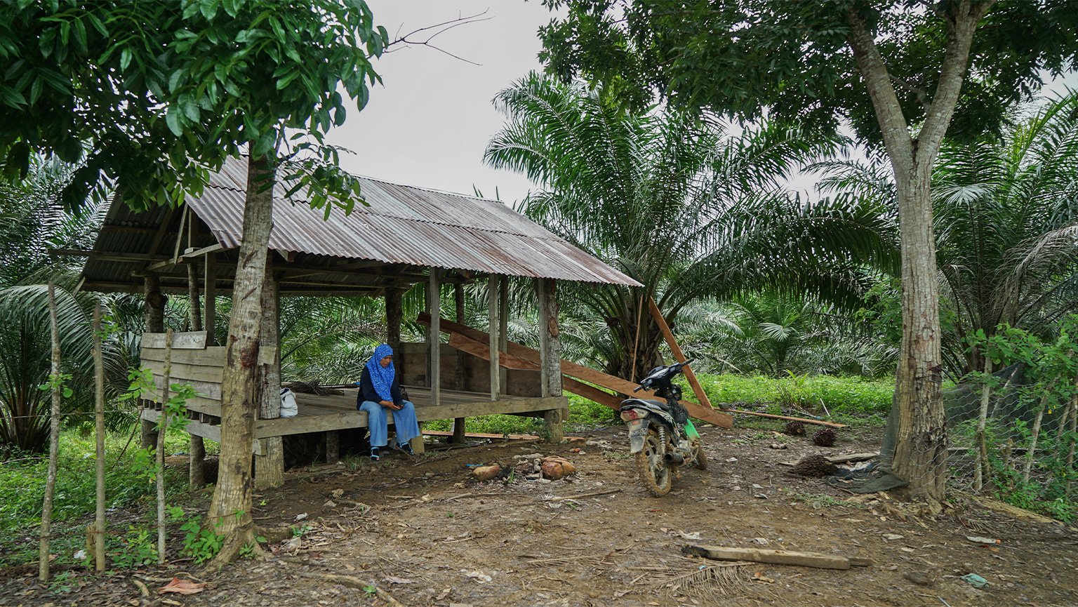 Husna sits in an an abandoned hut while trying to contact a farmer in Alue Buloh. 