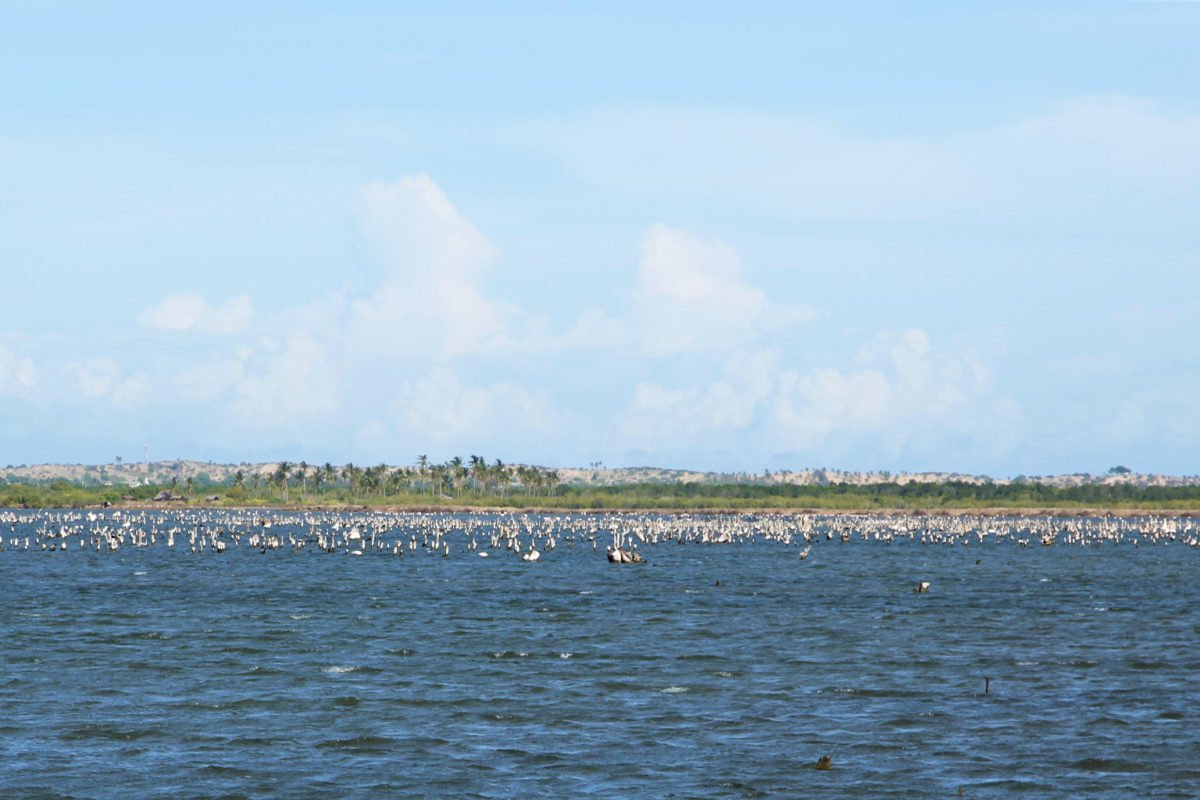 A dike used by one of the salt mining companies in Marereni.