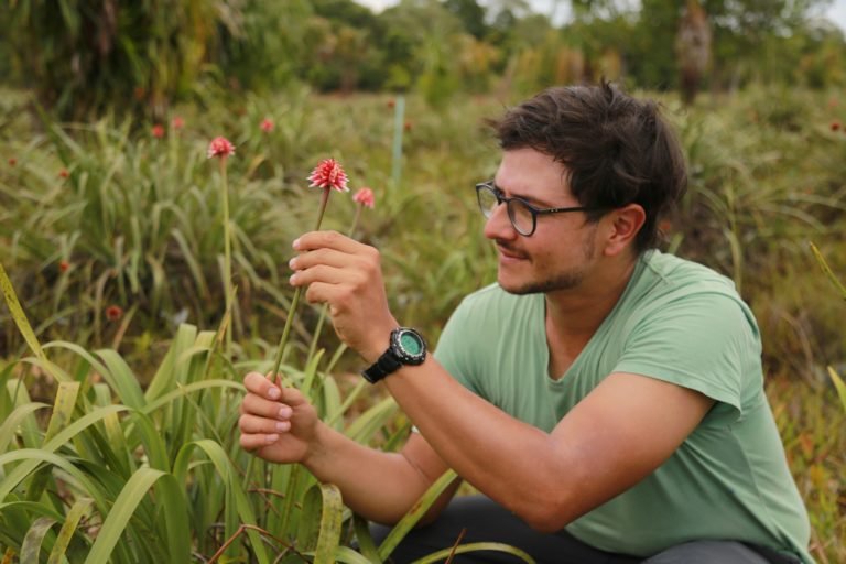 Biologist Mateo in a field of Inírida flowers.