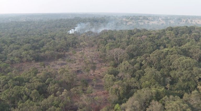 A fire burns in Olpusimoru Forest Reserve. Image by Keit Silale for Mongabay.