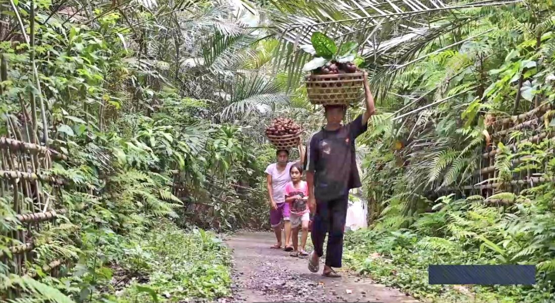 People carry a harvest of salak