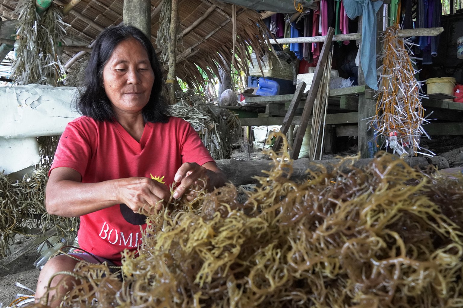 Melinda Gimotea ties seaweed cuttings to ropes with floaters.