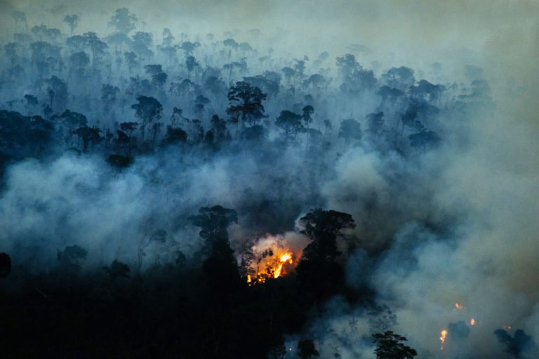 Fire near the Manicoré River in Amazonas state in August 2022. Photo © Christian Braga / Greenpeace