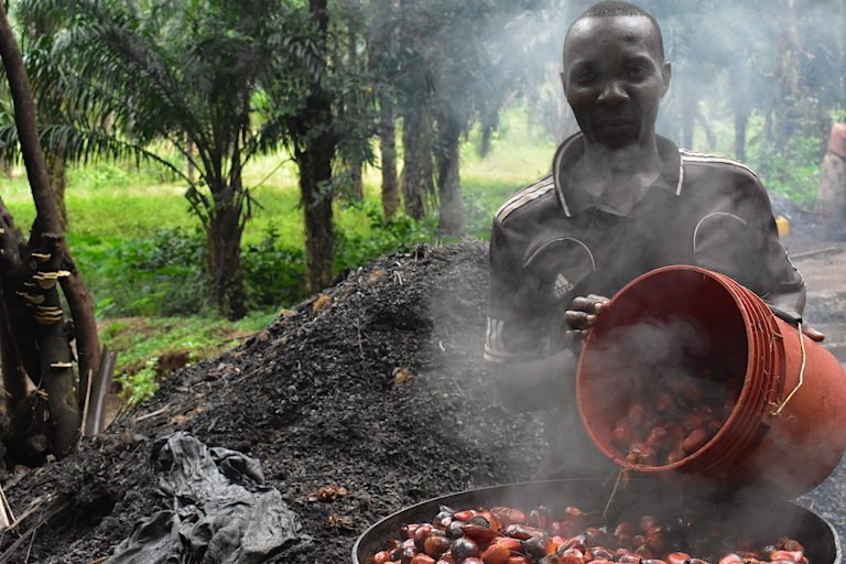 Chemical runoff from artisanal oil palm plantations can wreak havoc on the health of Lake Tanganyika. Photo by Robert Bociaga for Mongabay.