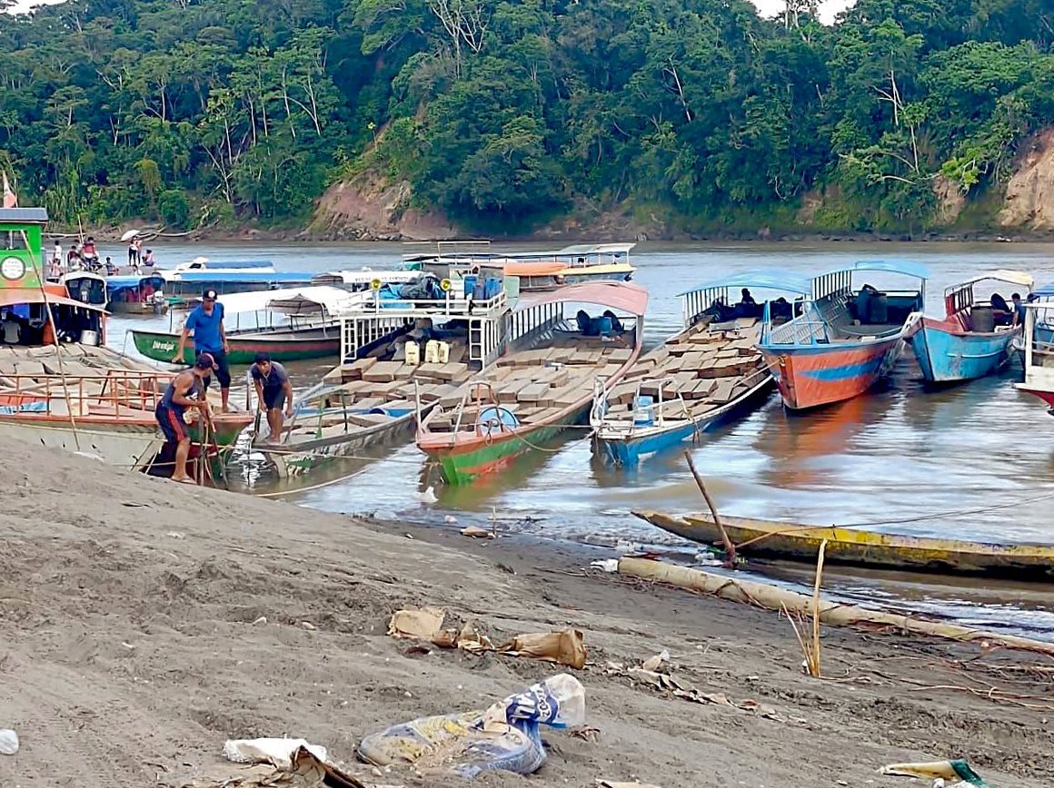 The shipments of fine wood are placed in boats