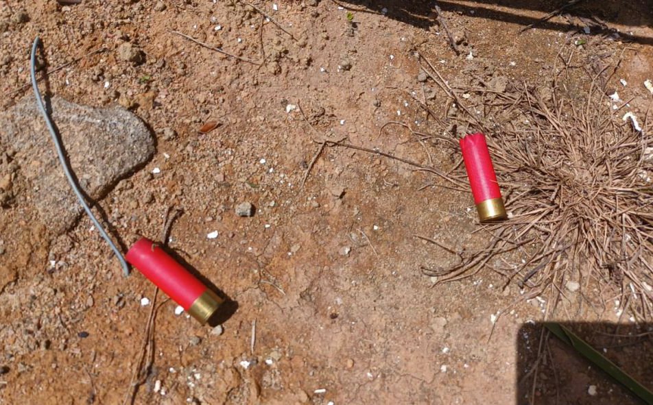 Some of the capsules reportedly used in the attack