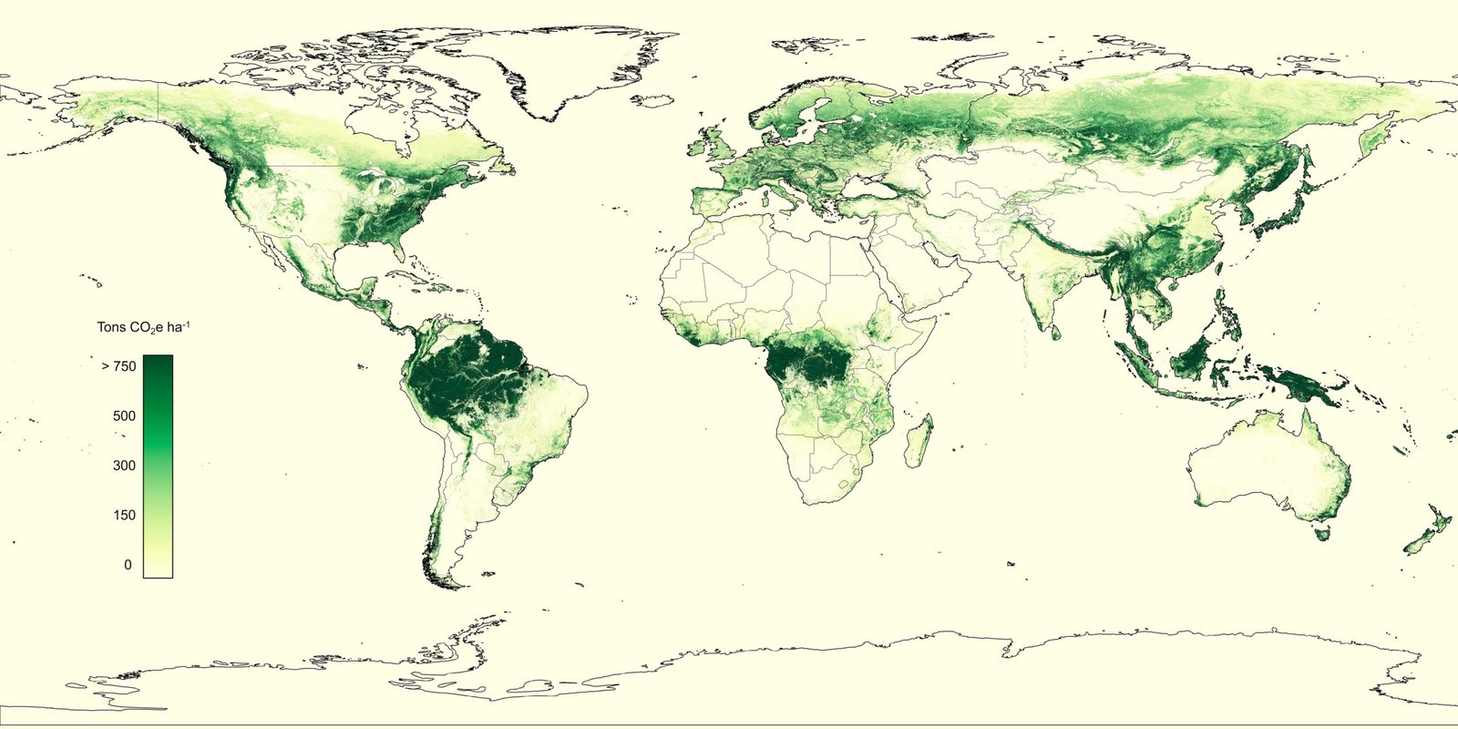 Global forest carbon map