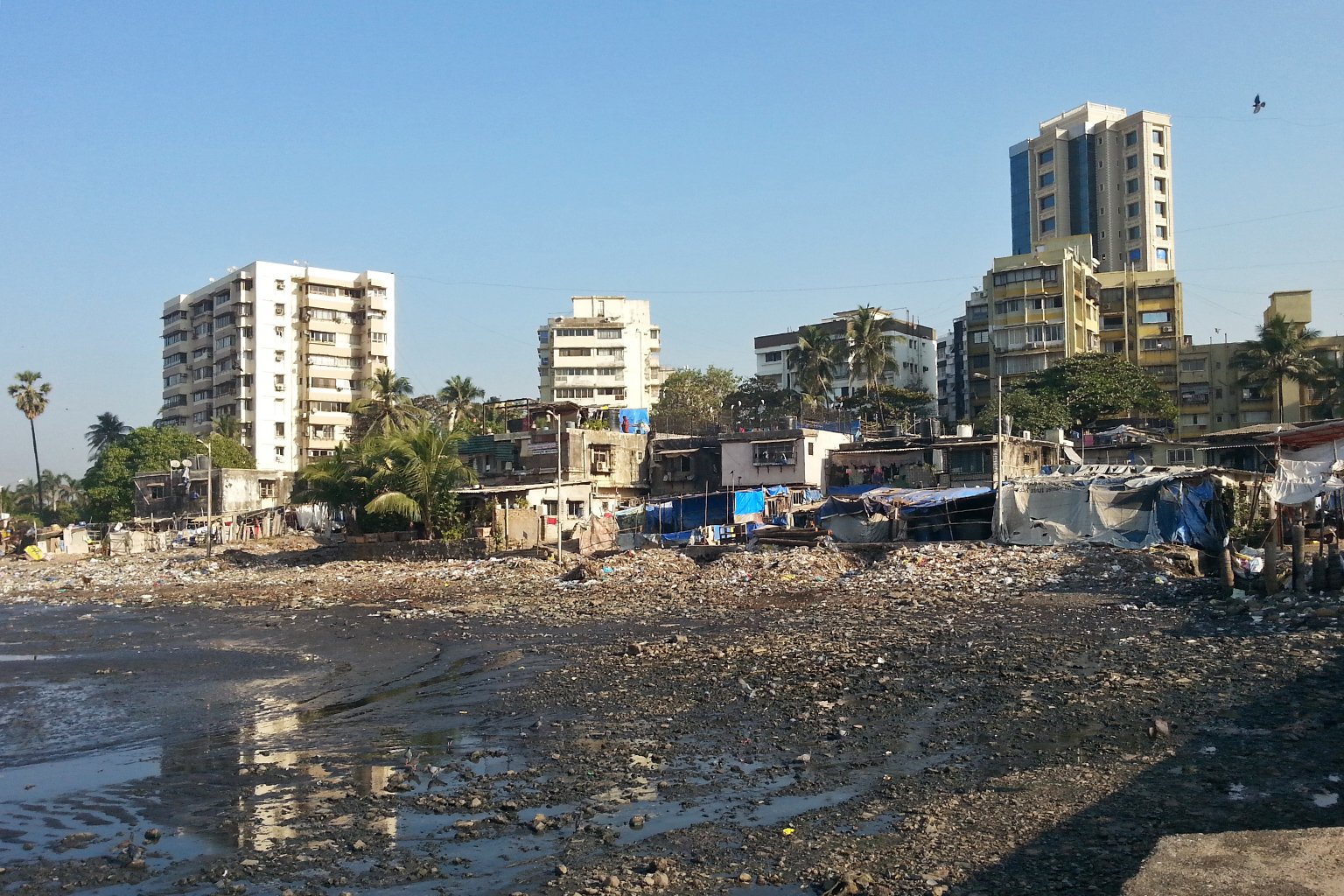 Untreated sewage entering a waterway.