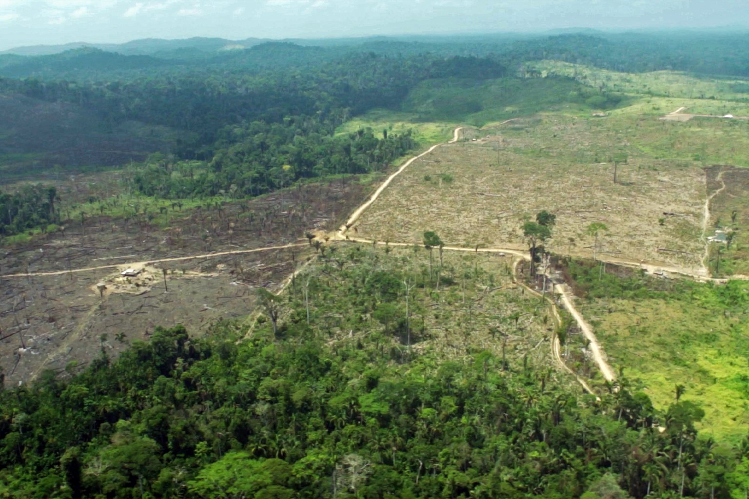 deforestation on Ituna Itatá indigenous land. 