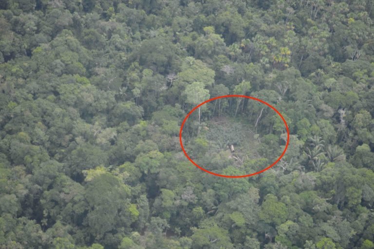 Evidence of a maloca (traditional house) seen in the area of the Napo Tigre. Image by Amazon Sacred Headwaters.