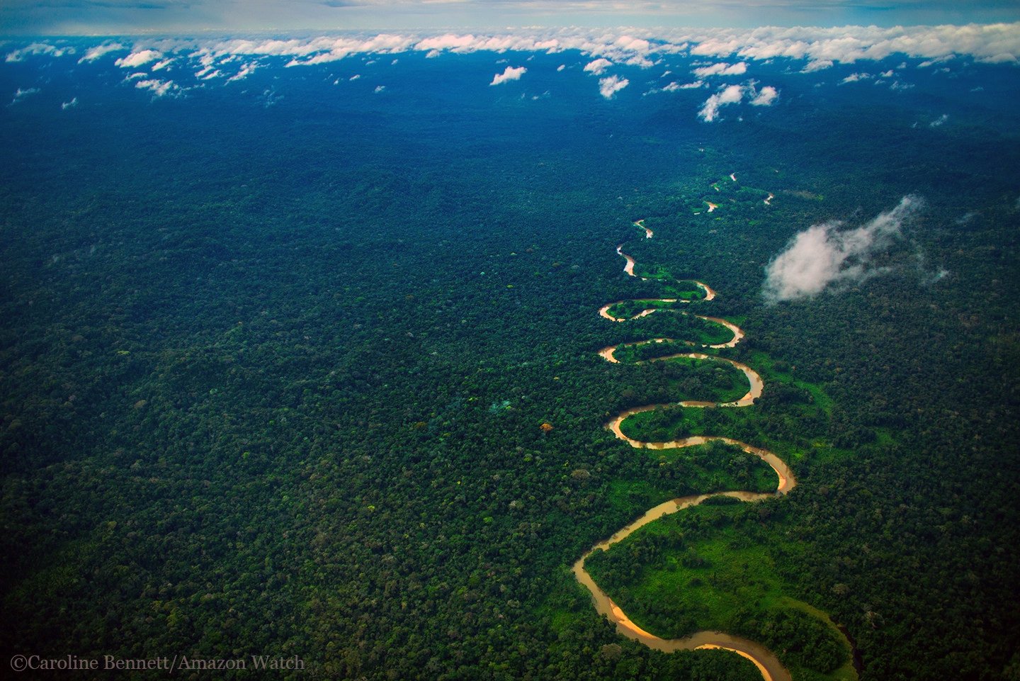 Aerial view of the Amazon