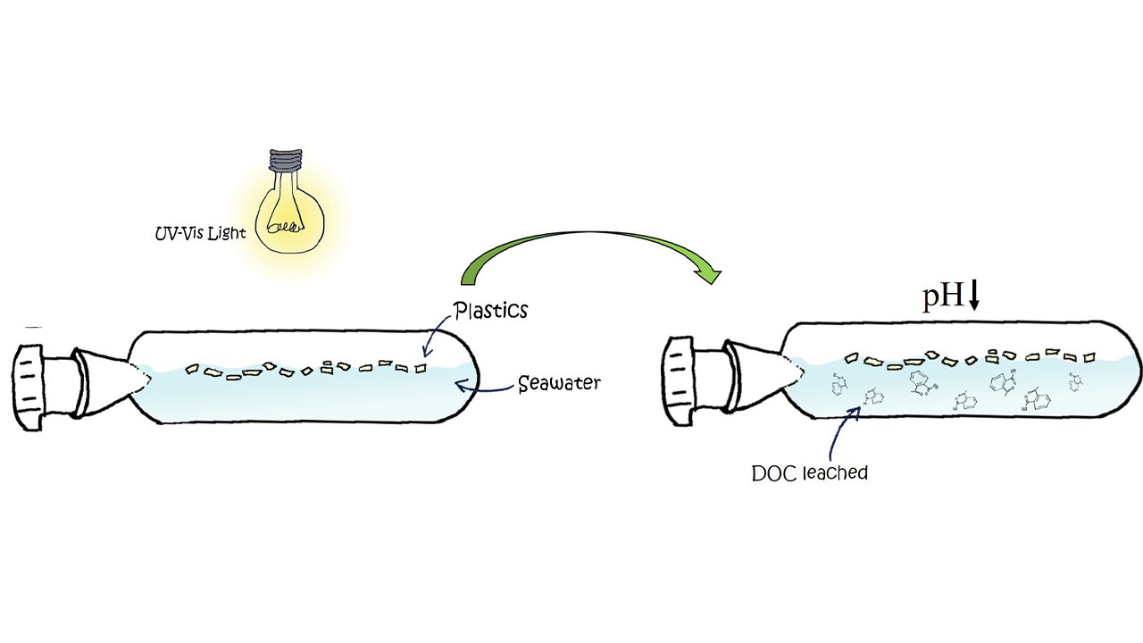 Scientists found that when plastic — especially aged, degraded plastic — interacts with sunlight, it releases a cocktail of chemicals, including organic acids, into the ocean. 