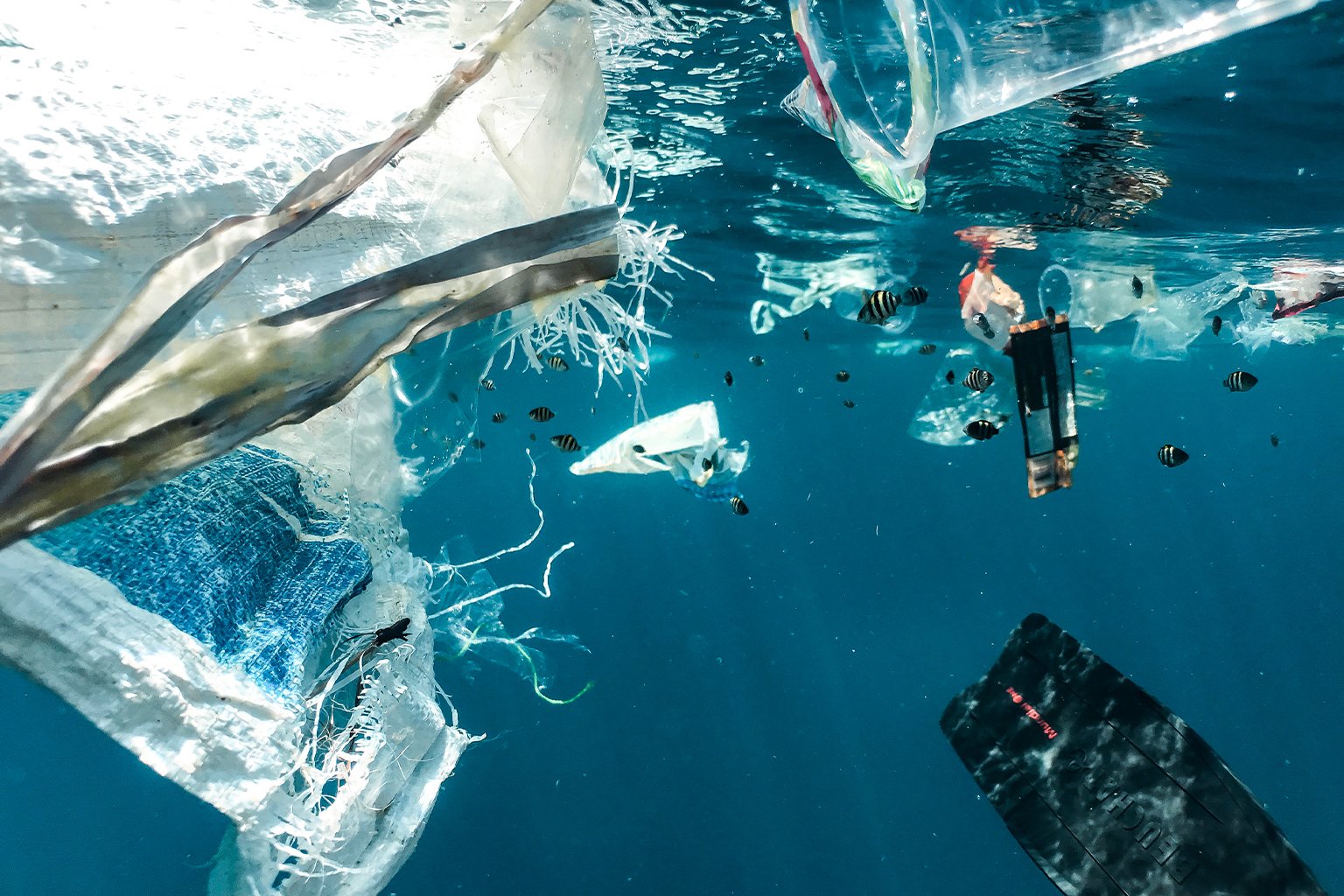 Plastic in the sea